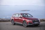 Audi Q7 55 TFSI Quattro S-Line 2019 года (WW)